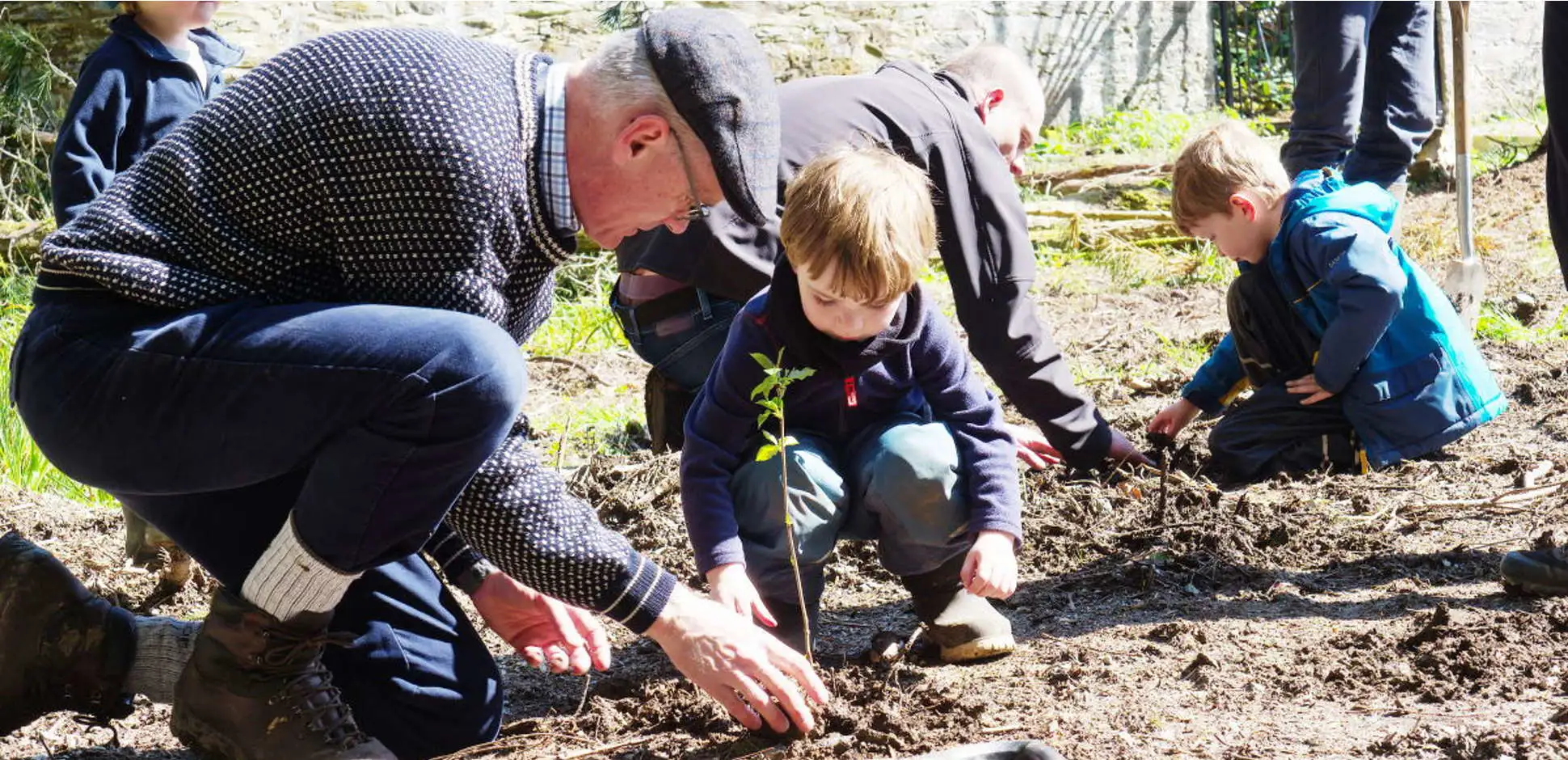 youngsters tree planting