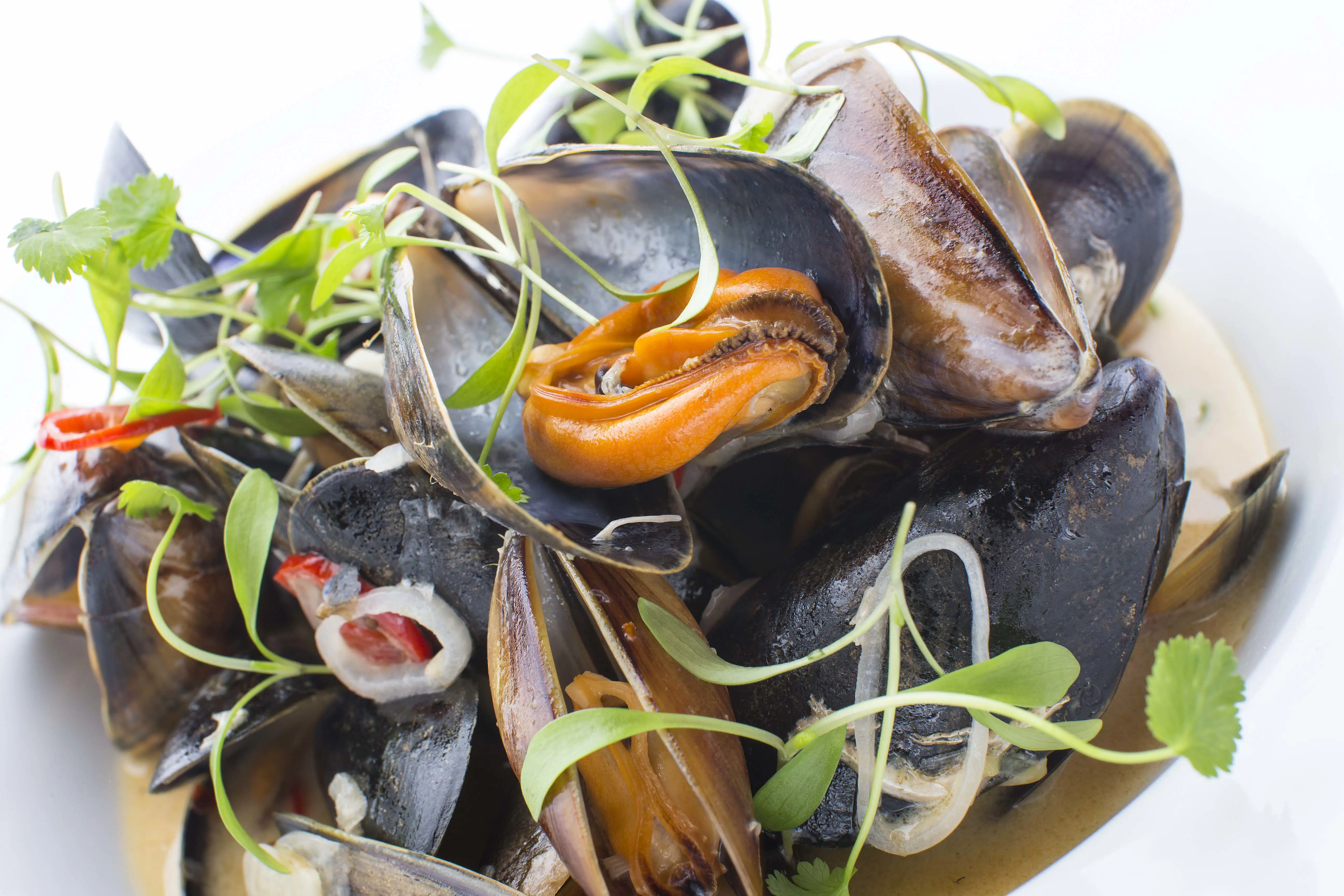 Seafood on a plate at Captain's Galley seafood restaurant, Scrabster, Caithness