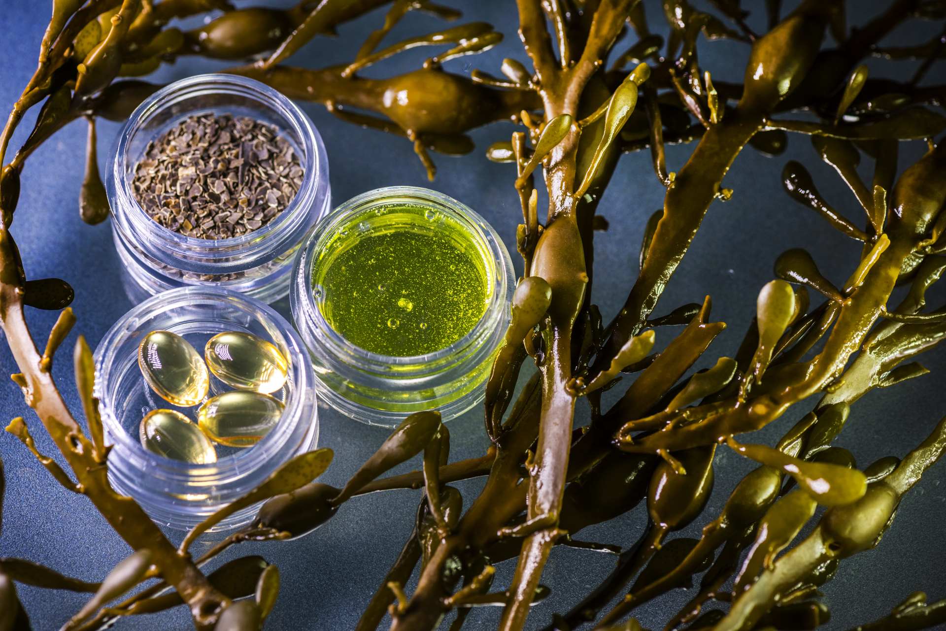 Seaweed with three small pots of pharmaceuticals